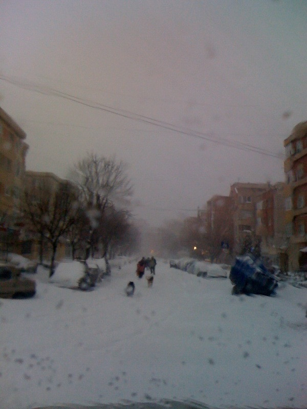 Viscol si ninsori abundente in sud-estul tarii! Vezi IMAGINI