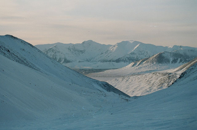 Au facut necropsia unui bizon de 9.300 de ani perfect conservat in Siberia. Ce au descoperit oamenii de stiinta e uimitor