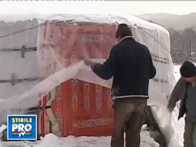 Doi romani au deschis primul camping nomad din Europa