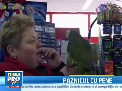 Un papagal, seful departamentului de securitate dintr-un magazin