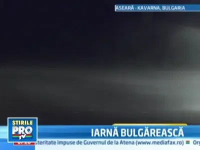 Ger siberian in Bulgaria, asezonat cu ninsoare abundenta si viscol