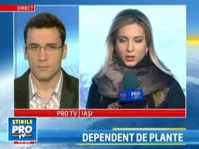 Primul caz de dependenta de ierburi aromatice!