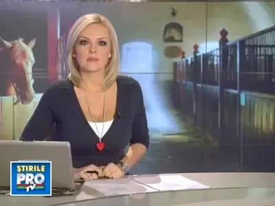 In sfarsit au actionat! Autoritatile sustin un adapost pentru caii parasiti