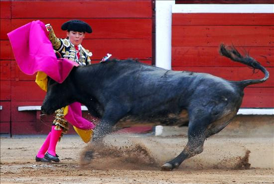 Toreador de 12 ani, luat in coarne de un taur!