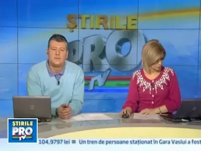 Destin fericit pentru un pui de delfin din Statele Unite!