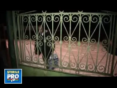 INCREDIBIL! A trait timp de 7 ani cu lama unui cutit infipta in spate