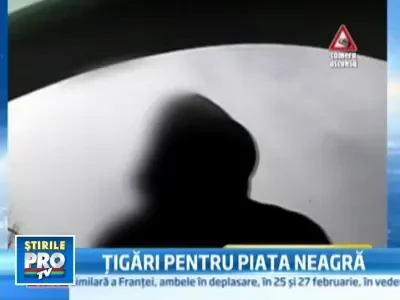 Tigari de contrabanda in valoare de 2,5 milioane de euro, confiscate!