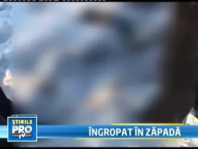 Ancheta dificila! Gasit mort, inghetat bocna, sub o balta de sange!