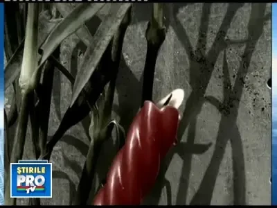 Ucigasii handabalistului Marian Cozma au fost pusi oficial sub acuzare