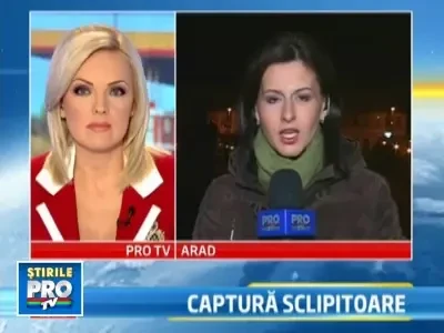 300 de kg de bijuterii batute in cristale Swarowski, confiscate la Nadlac!