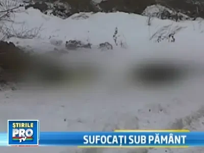 Au vrut sa fure fier vechi dar au platit cu viata