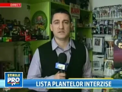 Guvernul a dat ordonanta de urgenta: STOP plantelor halucinogene