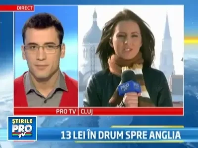 Drumul spre o viata mai buna! Leii de la Zoo Oradea, mutati in Anglia