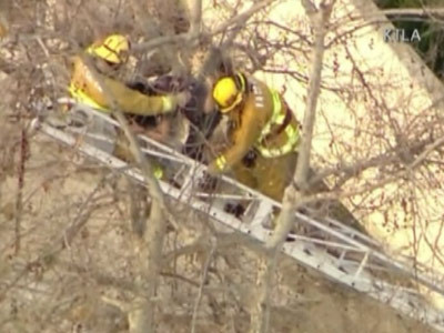 Jane, iubita lui Tarzan, exista! Traieste in California!