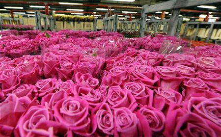 Dragostea ca o corvoada. Un poligam cu cinci neveste se plange ca nu le mai face fata