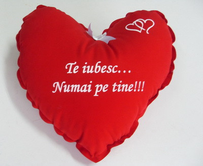 Inimioare rosii de plus, flori, dulciuri, haine! A fost Valetine's Day!