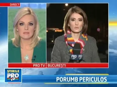 Ne otravim cu porumb modificat genetic, cultivat inclusiv in Romania!