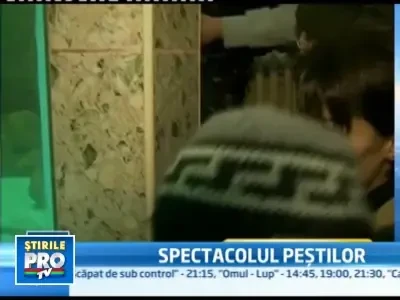 Unul din cele mai mari acvarii din tara si-a deschis portile pentru turisti