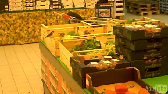 Pasarici de supermarket! Uite-le cum ciugulesc salata!