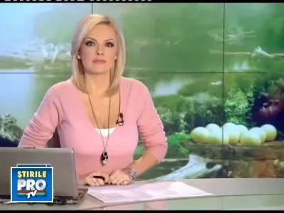 Anunt pe internet: "Oua de dinozauri pitici de vanzare"