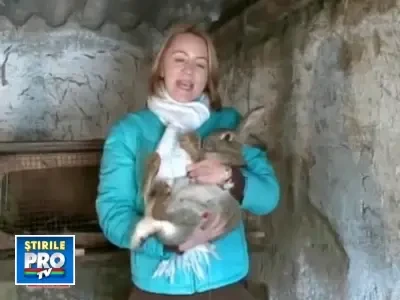 2002_19_iepuri_gigant