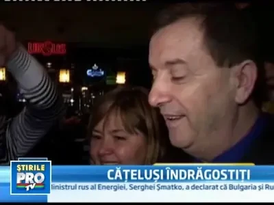 Ti-ai lasa catelul sa mearga la o blind date?