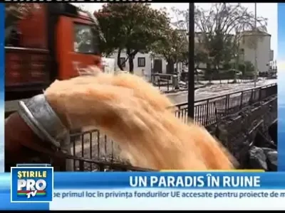 Ultimul bilant oficial dupa potopul din Madeira indica 42 de morti