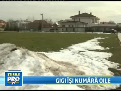 Gigi Becali, ciobanas cu 30 oi, 5 miei, o vaca. Vezi cum arata gospodaria