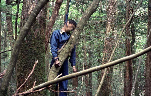 Padurea spanzuratilor Aokigahara