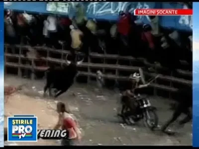 Au vrut sa faca pe toreadorii, dar au foat luati in coarne de tauri!