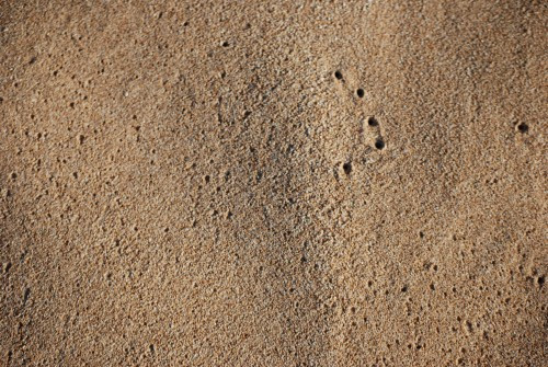 Idee revolutionara! Energie electrica din...nisip!