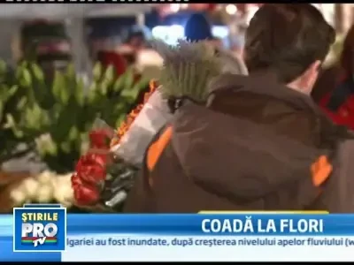 S-au ingramadit sa cumpere flori pentru doamne, de la 6 dimineata