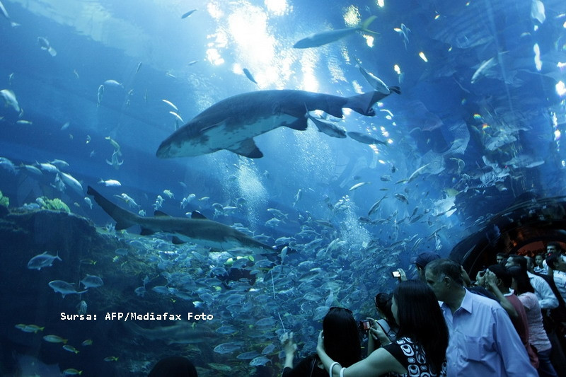 Vacanta in Dubai? Vezi ce nu trebuie sa ratezi!