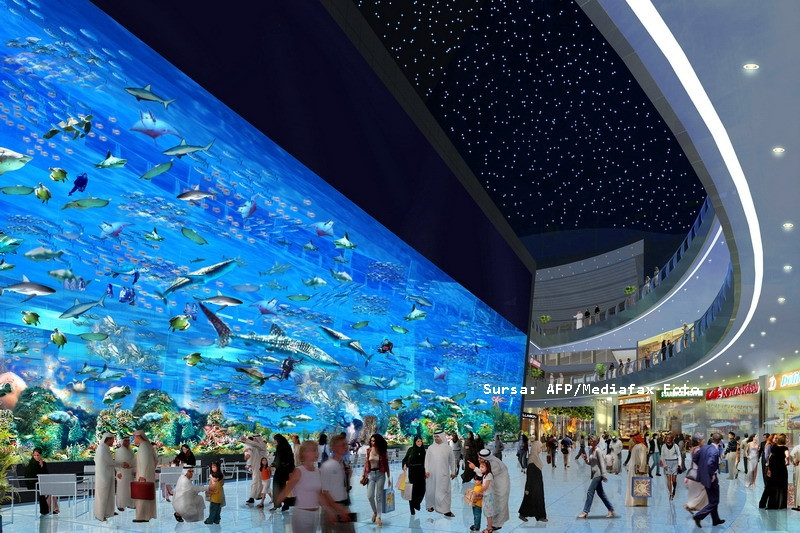 acvariu, Dubai