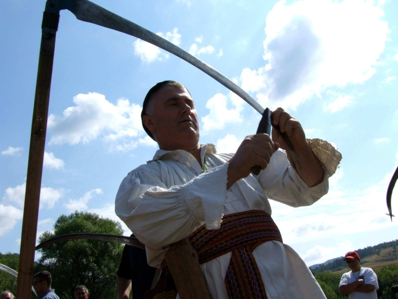 EXCLUSIV: PNL, fara Banu si Timis! Cei doi deputati vor demisiona