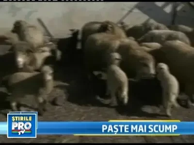 Miei mai mici si mai scumpi pentru masa de Paste