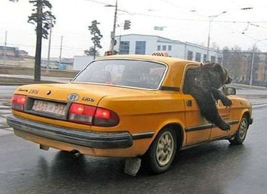 Este ilegal sa traversezi strada in maini! TOP cele mai aberante legi