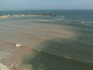 Accident ciudat: un marinar a murit dupa ce a cazut in mare de pe o nava