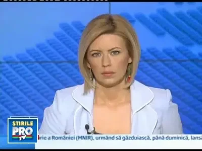 Un pui de mamut face furori in Chicago