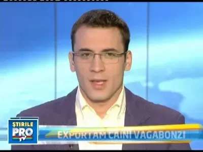 Voia sa intre in tara cu 700.000 de pachete de tigari de contrabanda