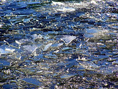 Nu incercati asa ceva acasa! A stat ingropat 3 ore in cioburi de sticla!