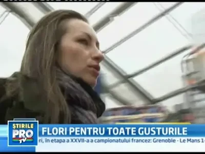 8 Martie, bucuria vanzatorilor de flori, care spera la profituri uriase