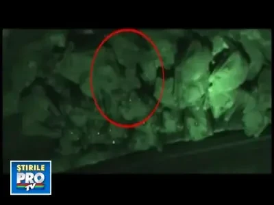 Au descifrat limbajul liliecilor. Se cearta si sufera din amor ca si noi