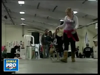 El e cel mai urat caine! Ti-ai cumpara un asemenea exemplar?