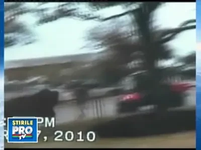 Panica intr-o parcare din Texas! Un taur a ranit trei oameni!