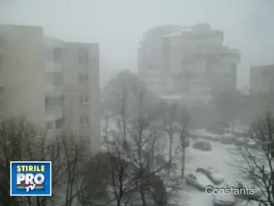 Viscol in Constanta si la Bucuresti. Imagini de la utilizatori