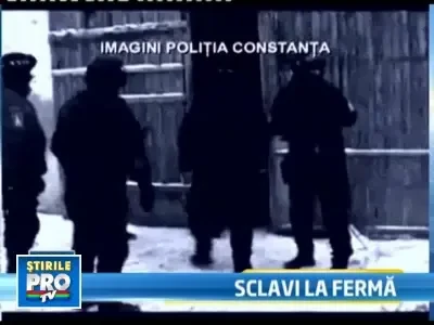 SOCANT! Batuti, infometati si fortati sa munceasca in sclavie!