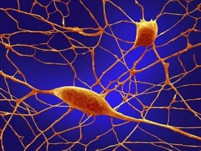 Cercetatorii sunt aproape de o descoperire mult asteptata in tratamentul unei boli incurabile