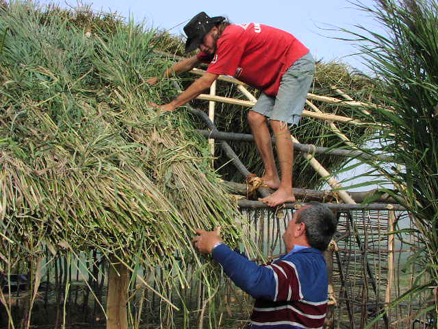 Romania, te iubesc: Afacere de milioane de euro cu stuful din Delta Dunarii