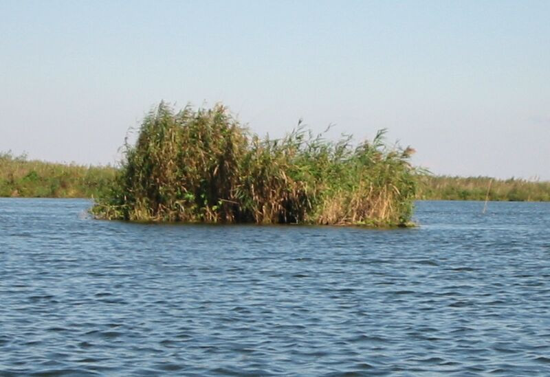 Romania, te iubesc: Taietorii de stuf, saraci intr-o afacere de milioane